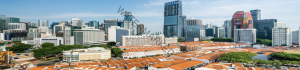 Tanjong-Pagar-Skyline